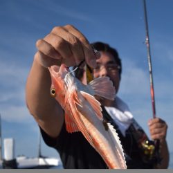 渡船屋たにぐち 釣果