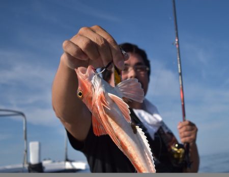 渡船屋たにぐち 釣果