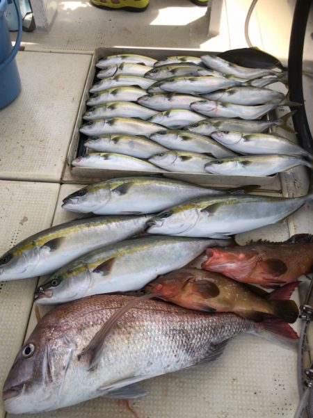 大雄丸 釣果