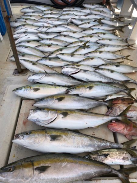 大雄丸 釣果