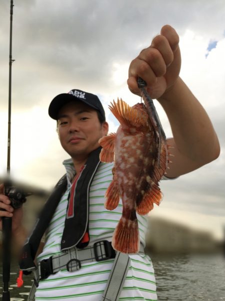 うさぎ丸 釣果