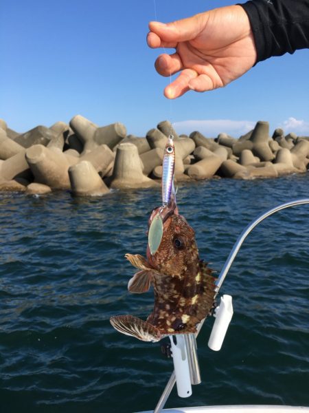 うさぎ丸 釣果