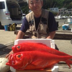 晃山丸 釣果