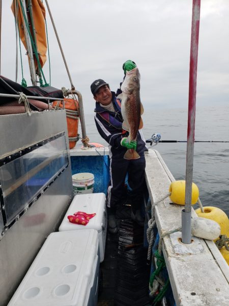 芳陽丸 釣果