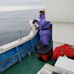 芳陽丸 釣果