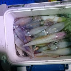 海龍丸（石川） 釣果