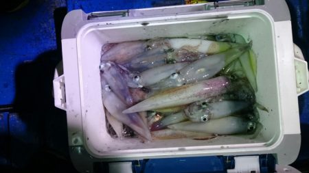 海龍丸（石川） 釣果