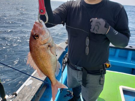 丸万釣船 釣果