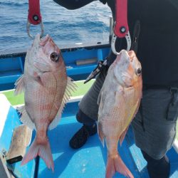 丸万釣船 釣果