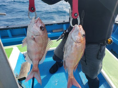 丸万釣船 釣果