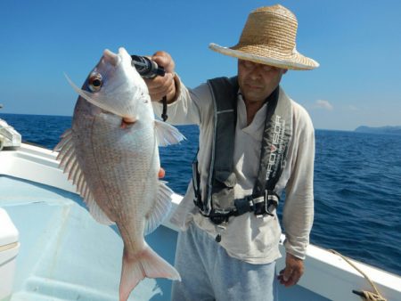 きずなまりん 釣果