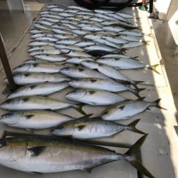 大雄丸 釣果