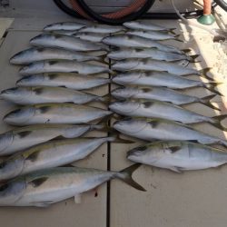 大雄丸 釣果