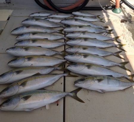 大雄丸 釣果