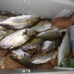 ぽん助丸 釣果