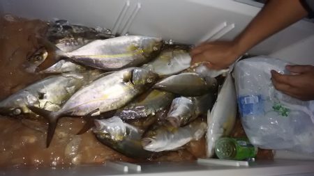 ぽん助丸 釣果