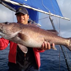 ひな丸 釣果