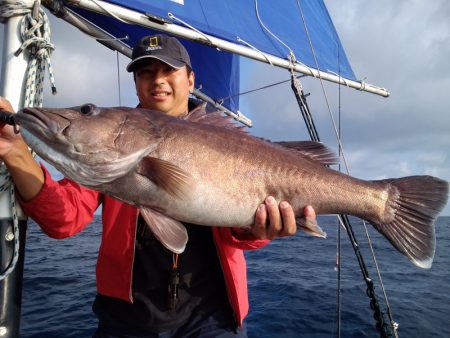 ひな丸 釣果