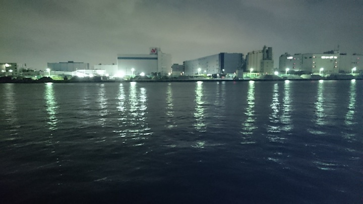東京湾奥シーバス釣行