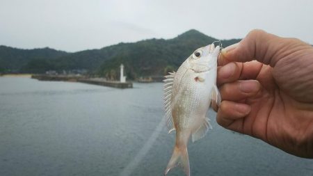 雨にも負けず