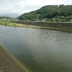 今日の釣果