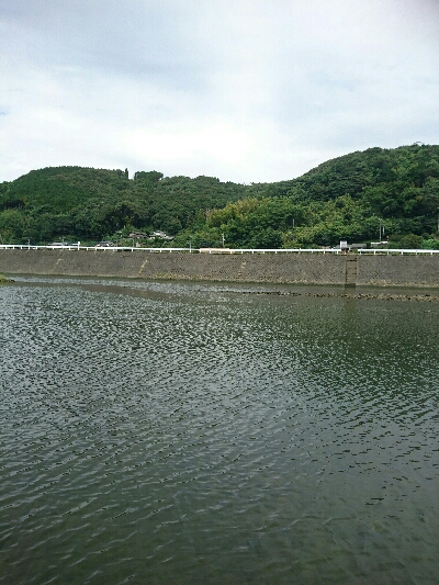 今日の釣果