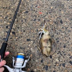 雨の中の釣行