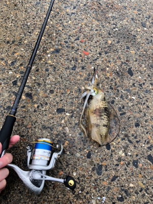 雨の中の釣行