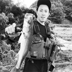 円山川での釣果です