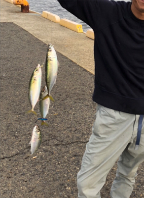 太刀魚探し回ったが