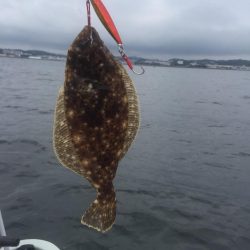 初の船外機ボート釣り