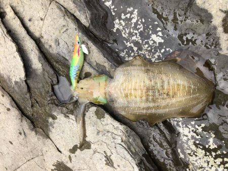 雨にも負けず風にも負けず波にも負けず…