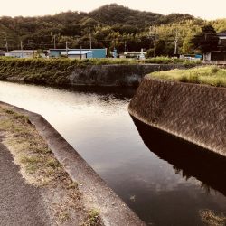 台風が過ぎたのでナマズ釣り！