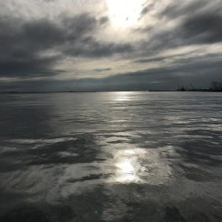 南港で太刀魚