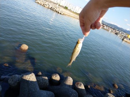 なにか釣れればと