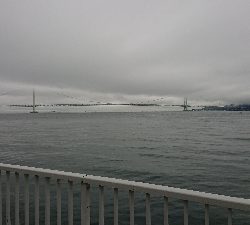 雨にも負けず