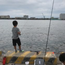 息子とサヨリ釣り