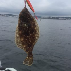 三浦海岸 防衛大前沖でボート釣り