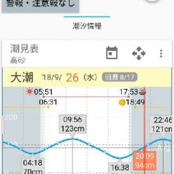 雨のタチウヲング