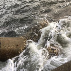 風、濁り最高！なのに劇シブ