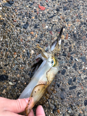 雨の中の釣行