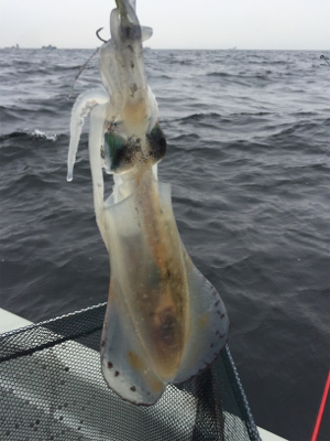 三浦海岸 防衛大前沖でボート釣り