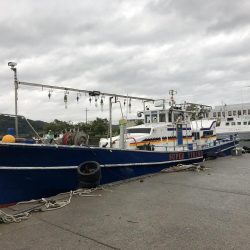 台風前にティップランエギング