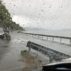 雨が止んだ合間に