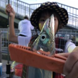 太刀魚だらけ