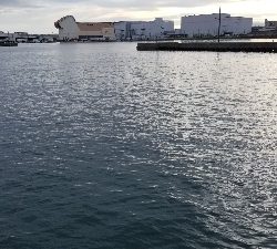 太刀魚　ウキ釣り　