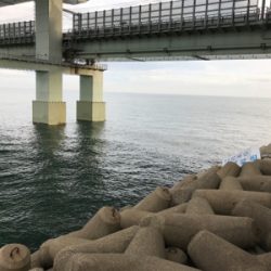 太刀魚は小さいが一投目からヒットする