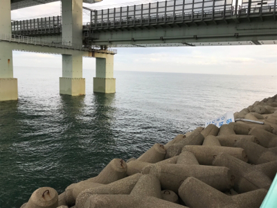 太刀魚は小さいが一投目からヒットする