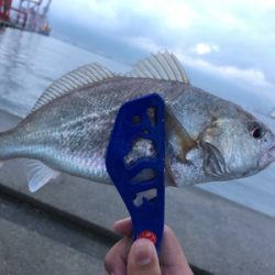 雨天での釣行