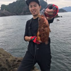 磯場での釣果